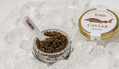  Юлиана Вольная, директор британского филиала Lemberg Caviar: «Наши покупатели могут есть икру ложками»