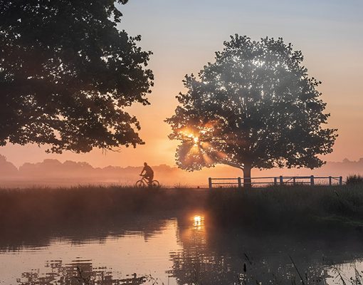 Глоток свежего воздуха: лучшие парки Лондона 