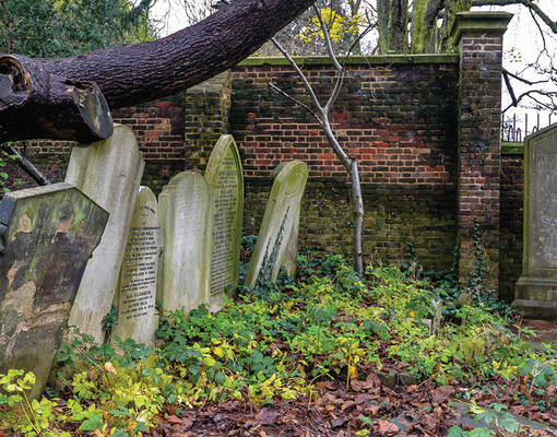 Родные имена: некрополист Клемент Таралевич — об английских кладбищах и могилах «наших»