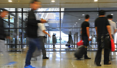 Эффект ограничений: чистая миграция продолжает снижаться