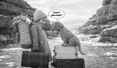 Слова, убежавшие от исходного значения. Тест о том, как британцы меняют свой язык