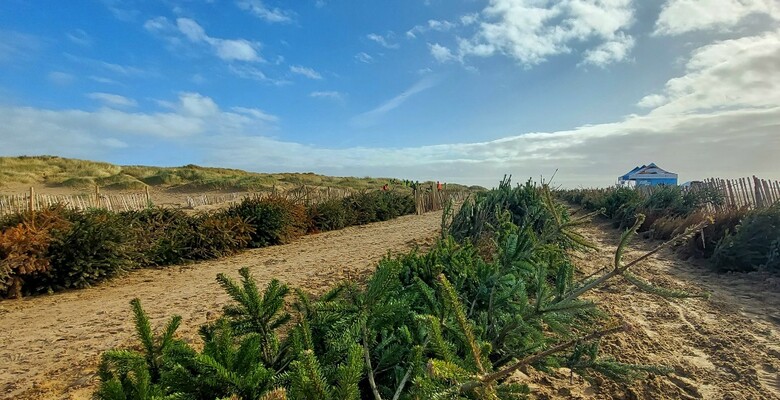 Фото: facebook.com/lancashirewildlifetrust