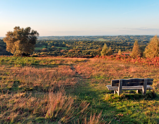 Восточный Сассекс вошел в список лучших мест для путешествий — благодаря наследию Алана Александра Милна