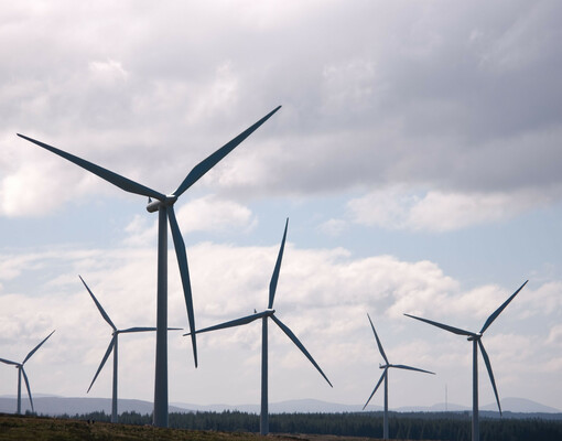 Деньги не на ветер: альтернативная энергетика становится выгодной