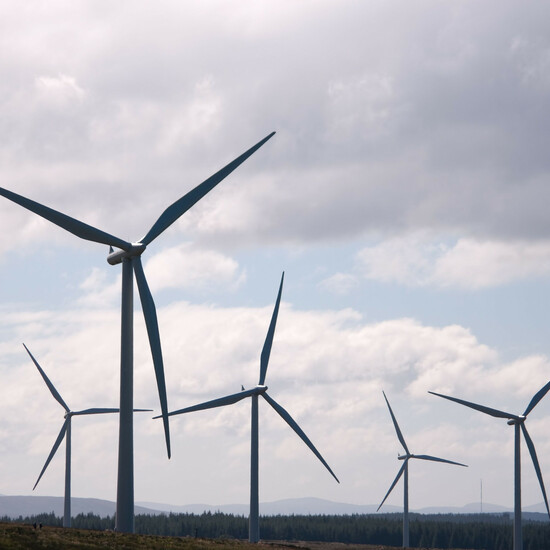 Деньги не на ветер: альтернативная энергетика становится выгодной