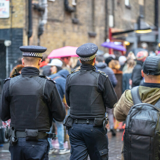 В Великобритании создадут новую полицейскую службу — аналог ФБР