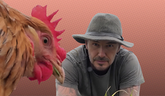 Красивые глаза, дисциплина и настойчивость. Тест о Дэвиде Бекхэме