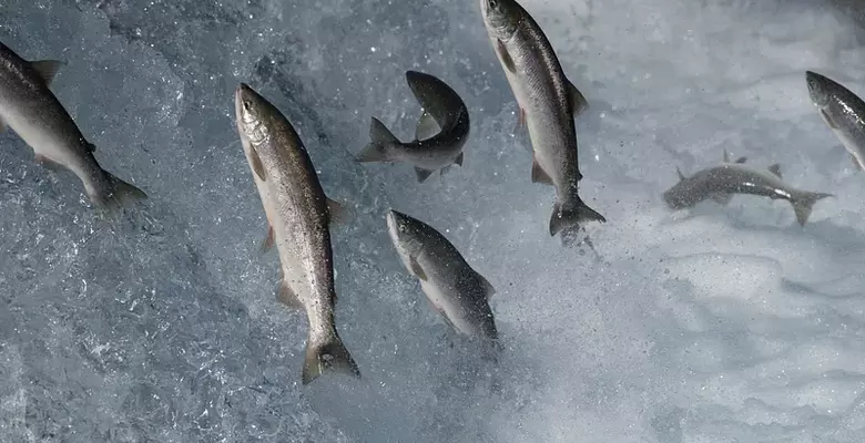 Фото: rawpixel.com