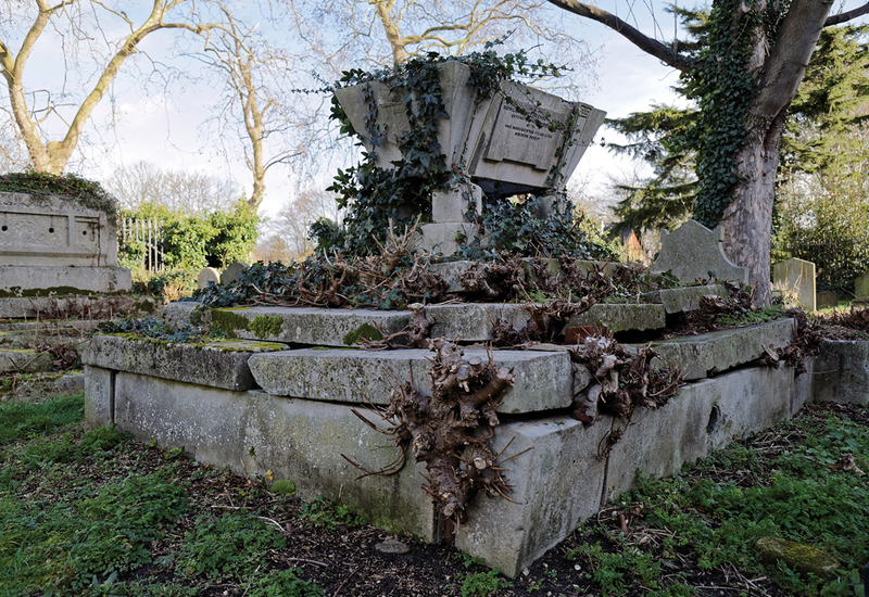 Фото: commons.wikimedia.org