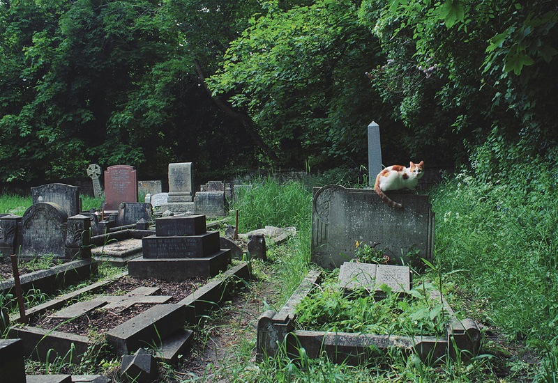 Фото: unsplash.com