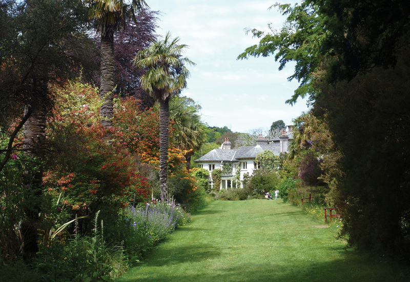 Фото: wikimedia.org