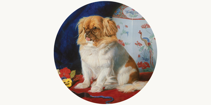 Фридрих Вильгельм Кейль. Лути. 1861