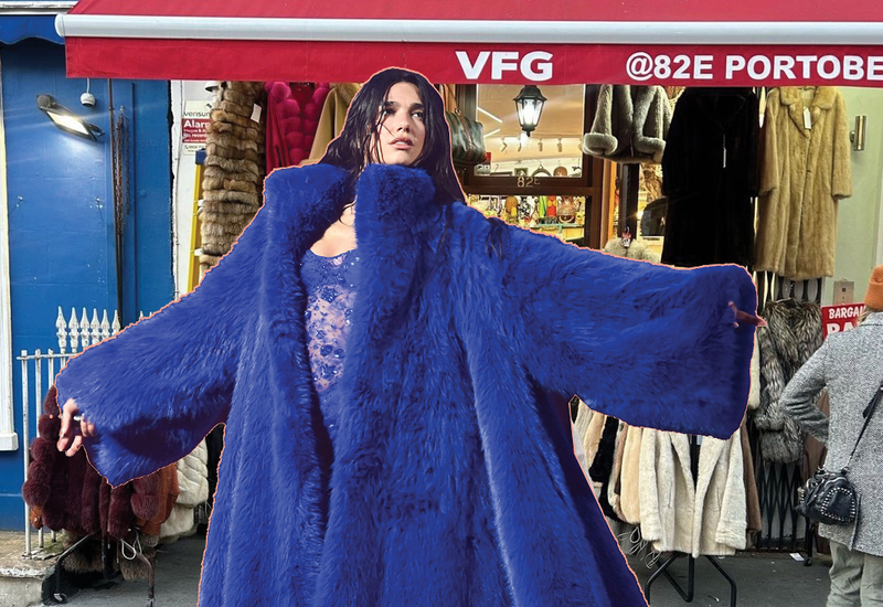 Фото: instagram.com/vintagefurgarden