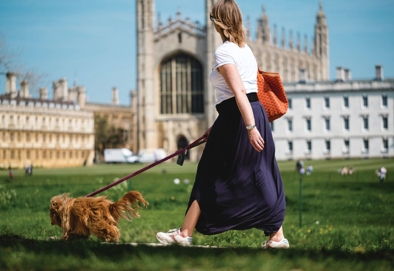 Фото: unsplash.com