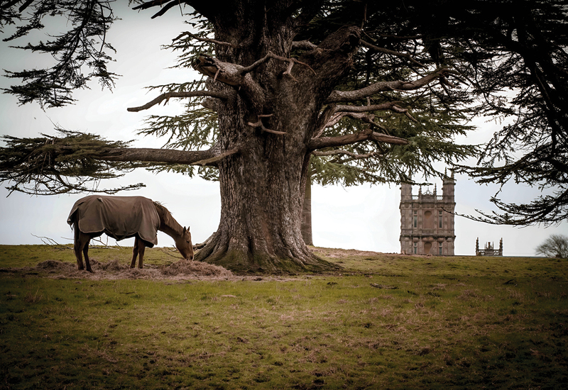 Фото: facebook.com/HighclereCastleOfficial