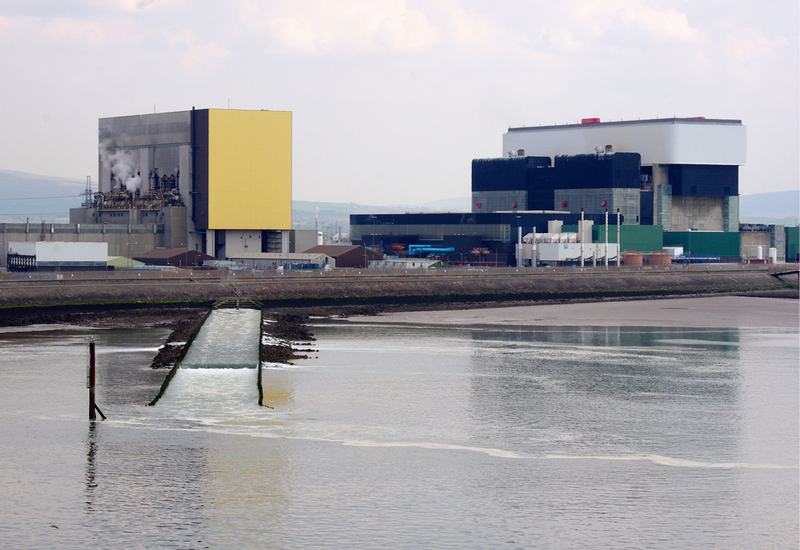 Фото: flickr.com/photos/davehamster