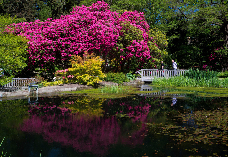 Фото: facebook.com/BodnantGardenNT