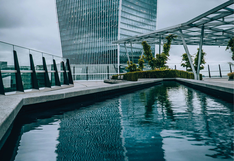 Фото: pexels.com